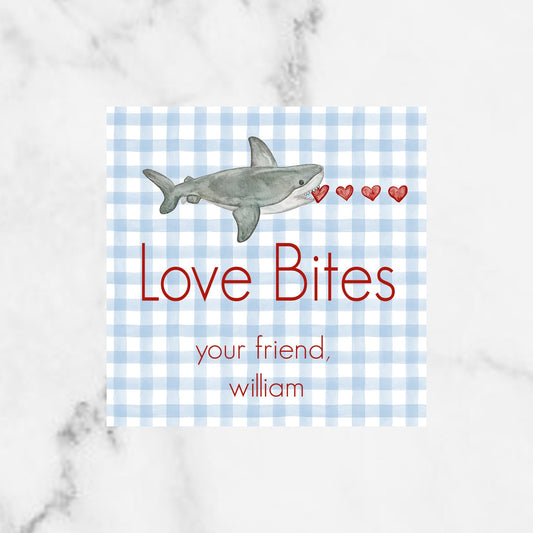 Gingham Shark Valentine Enclosure Card
